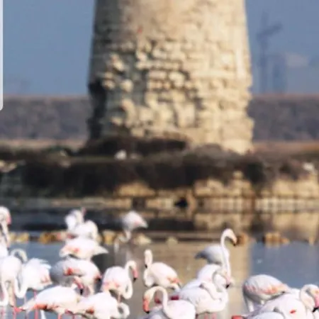 Della Letizia Homestay Marsala
